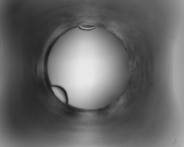 X0000089890102200707192021