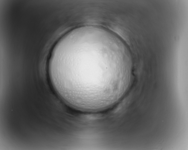 X0000089890103200707192021