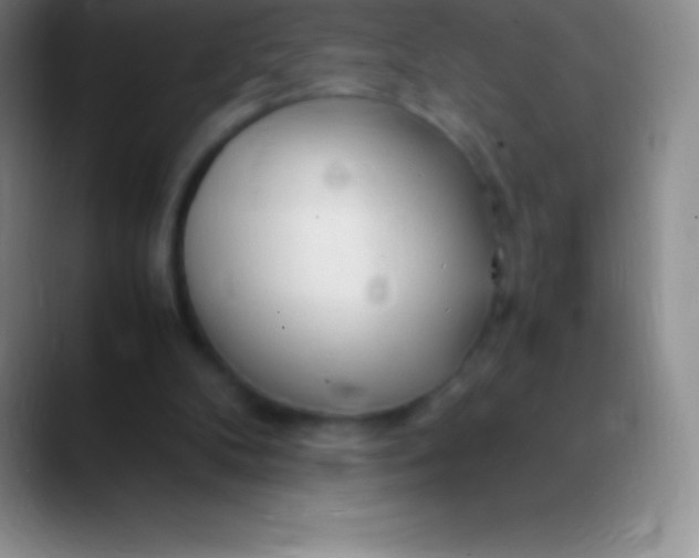 X0000089890104200707192021