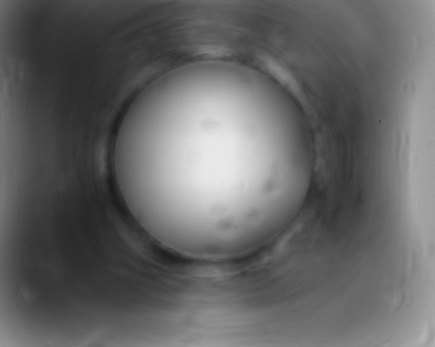 X0000089890106200707192021