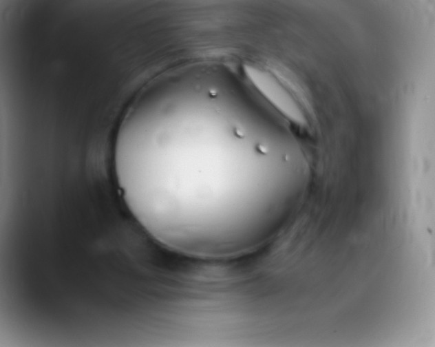 X0000089890107200707192021