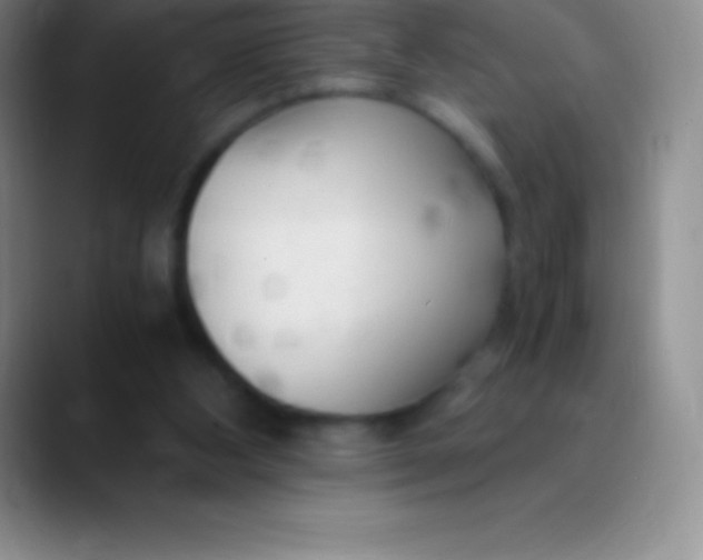 X0000089890108200707192021