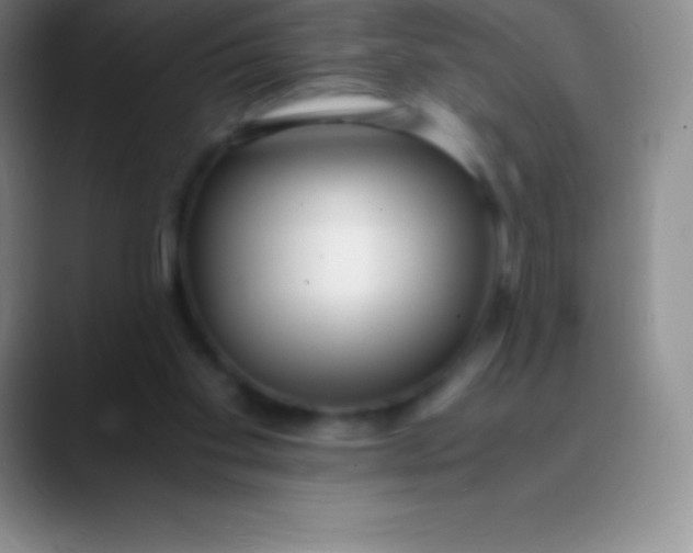 X0000089890109200707192021