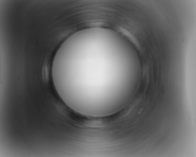 X0000089890110200707192021