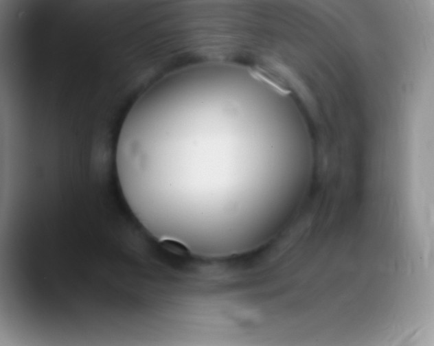 X0000089890113200707192021