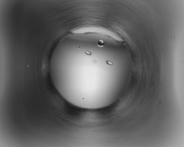 X0000089890119200707192021