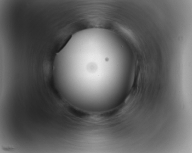 X0000089890121200707192021