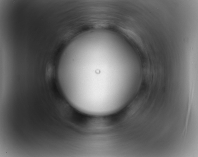 X0000089890123200707192021