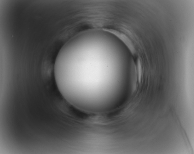 X0000089890125200707192021