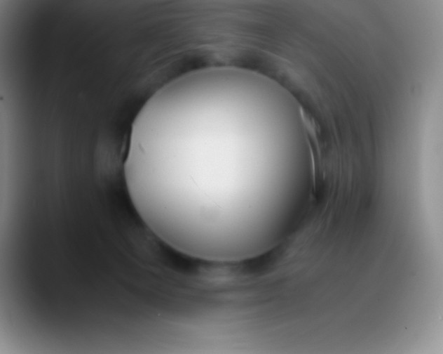 X0000089890129200707192021