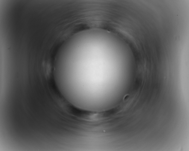 X0000089890130200707192021