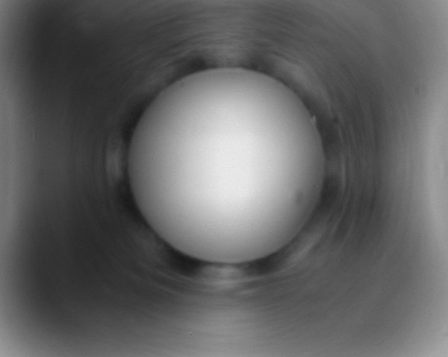 X0000089890133200707192021