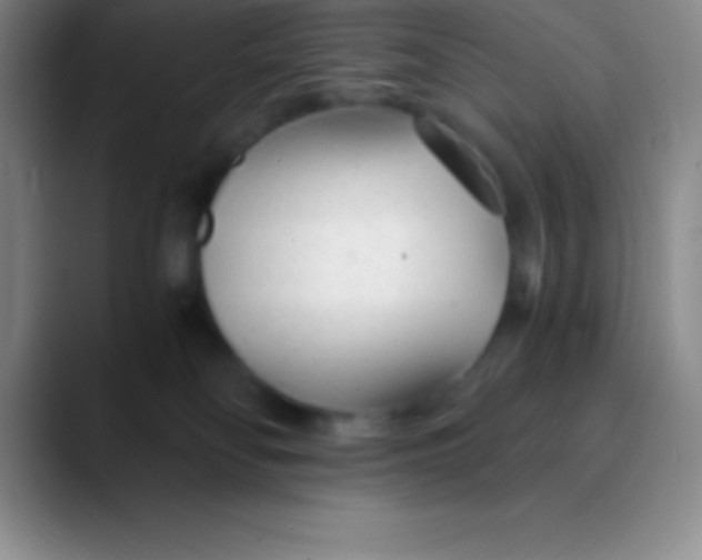 X0000089890134200707192021