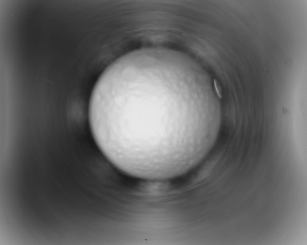 X0000089890135200707192021