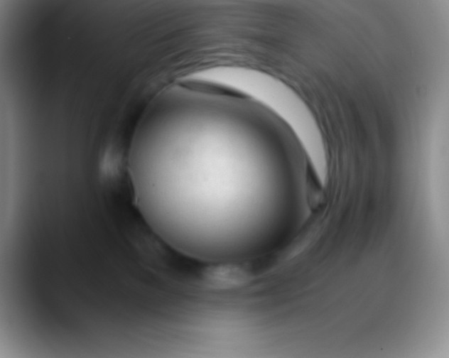 X0000089890137200707192021