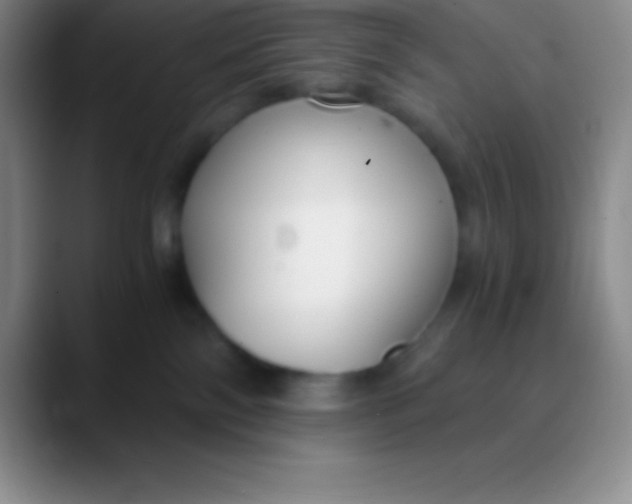 X0000089890138200707192021