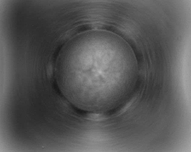 X0000089890139200707192021