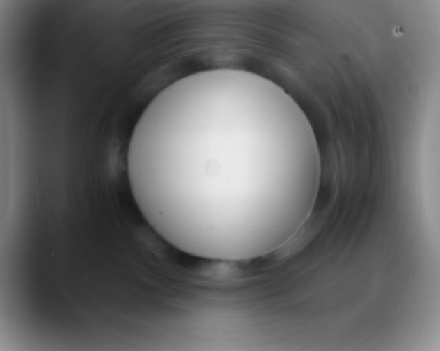 X0000089890140200707192021