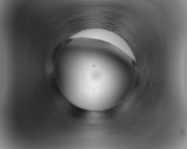 X0000089890141200707192021