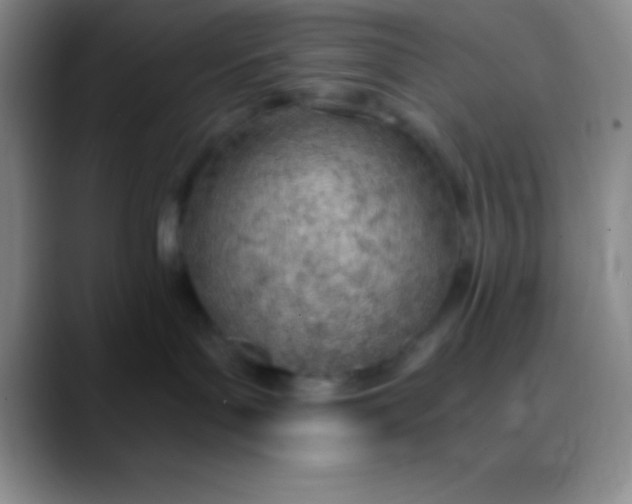 X0000089890143200707192021