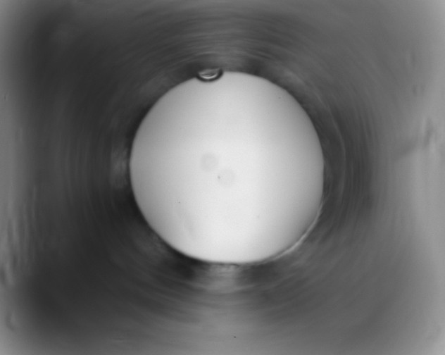 X0000089890144200707192021