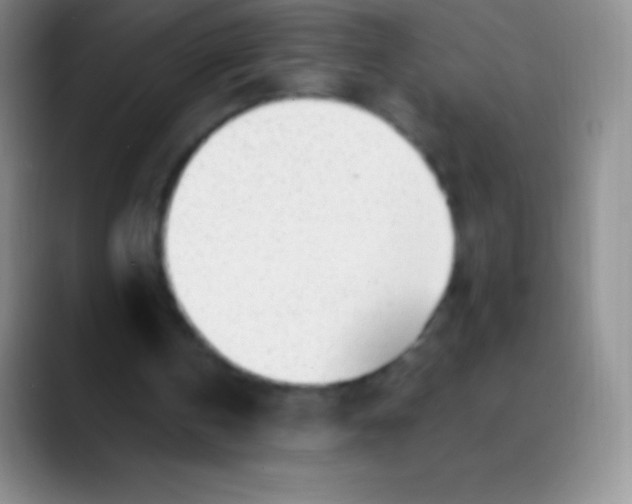 X0000089890146200707192020