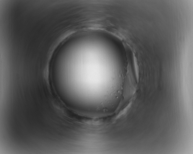 X0000089890148200707192020