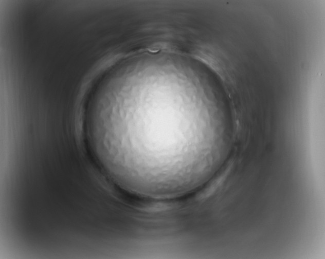 X0000089890149200707192020