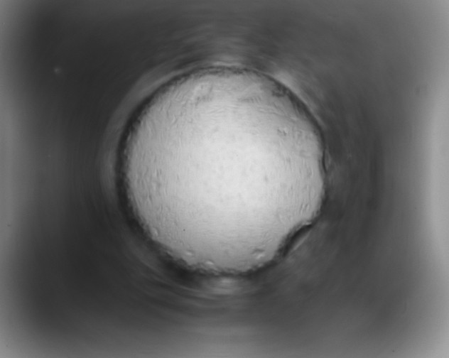 X0000089890151200707192020