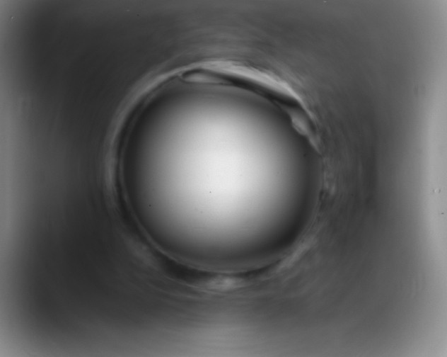 X0000089890152200707192020