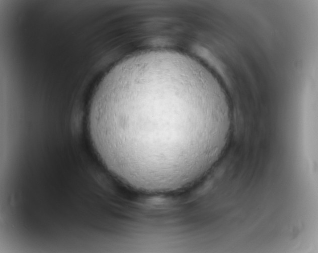 X0000089890153200707192020