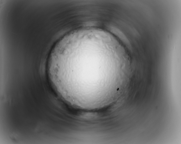 X0000089890155200707192020