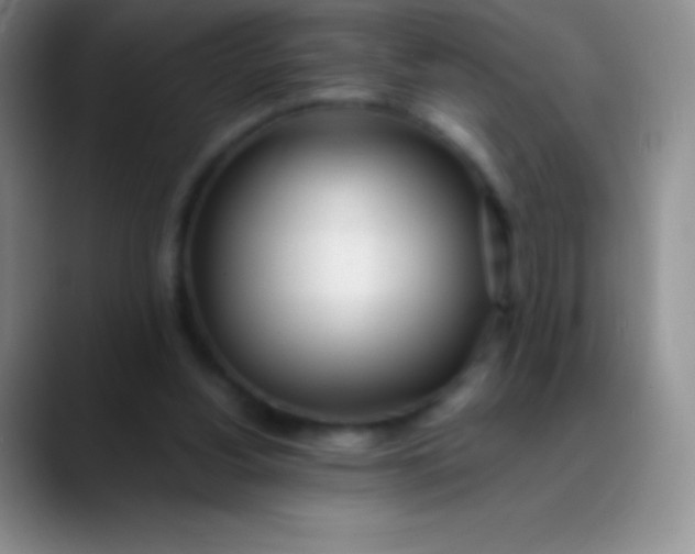 X0000089890156200707192020