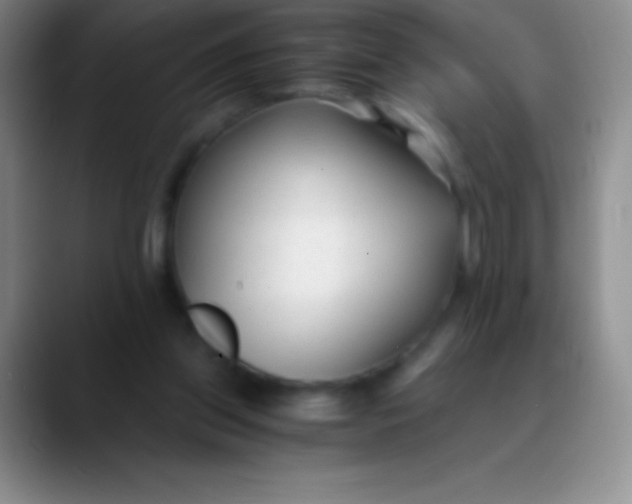 X0000089890157200707192020