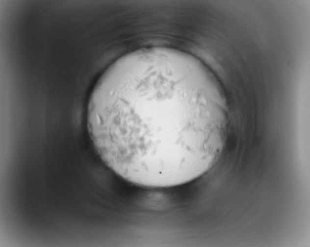 X0000089890159200707192020