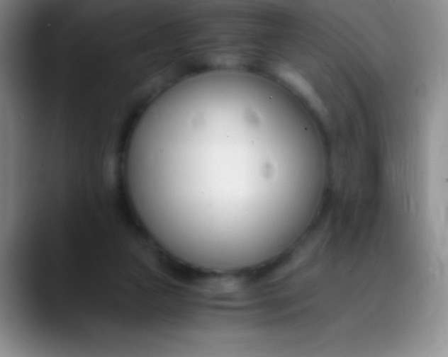 X0000089890161200707192021