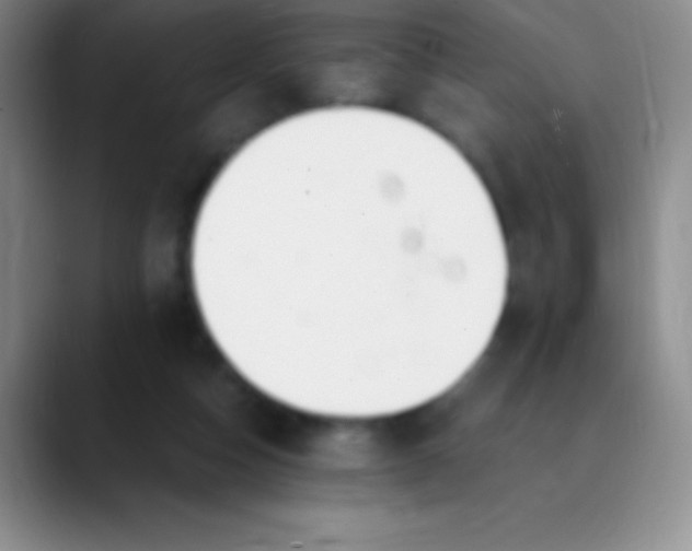 X0000089890162200707192021