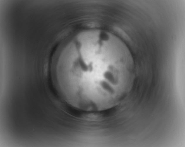 X0000089890163200707192021