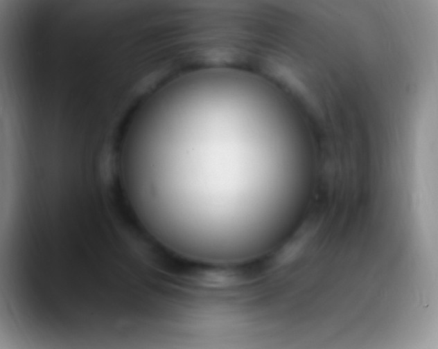 X0000089890164200707192021