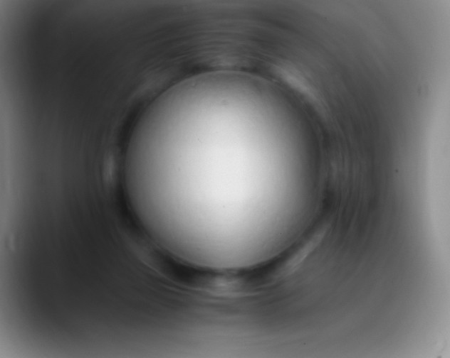 X0000089890165200707192021