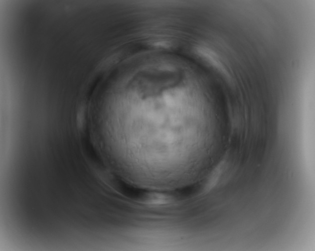 X0000089890167200707192021