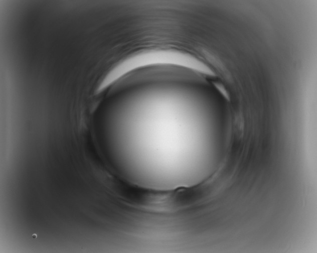 X0000089890170200707192021