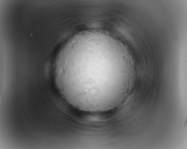 X0000089890171200707192021