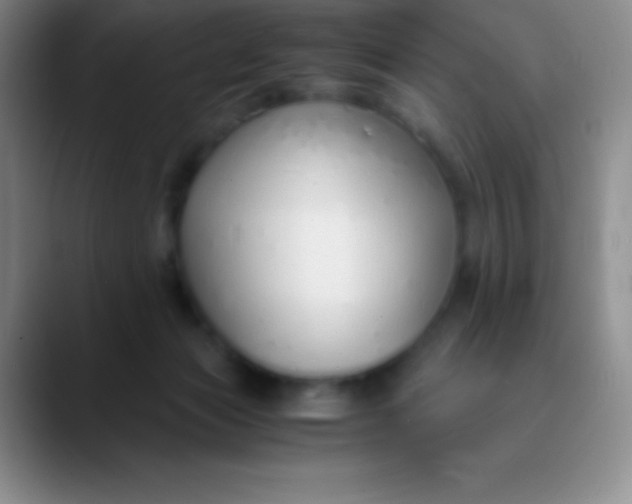 X0000089890173200707192021