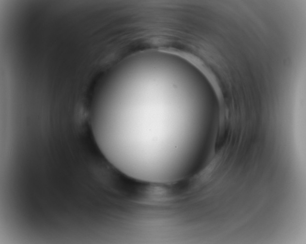 X0000089890176200707192021