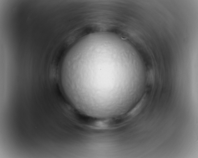 X0000089890178200707192021