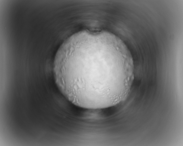 X0000089890179200707192021