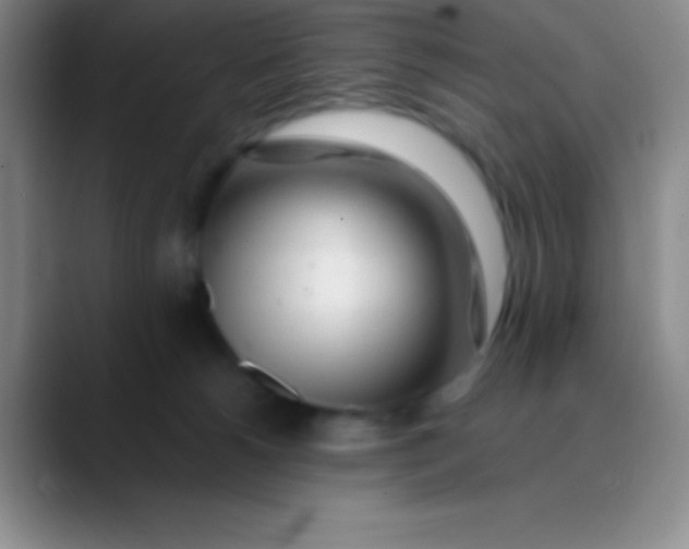 X0000089890180200707192021