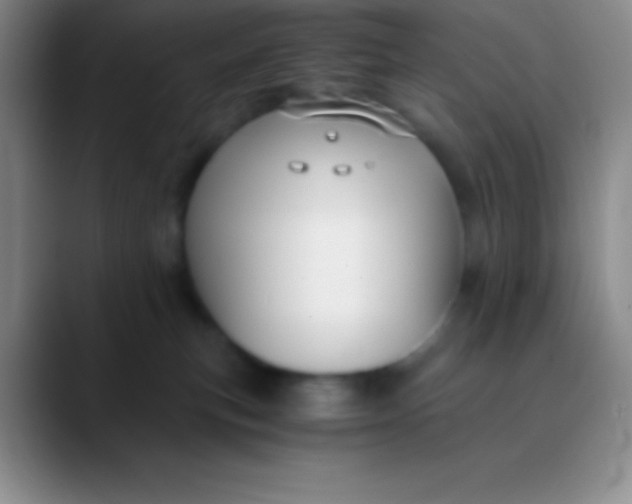 X0000089890183200707192021