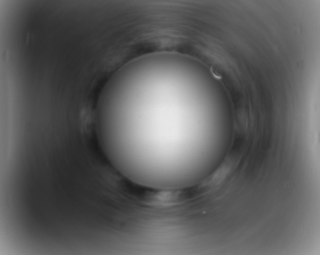 X0000089890184200707192021